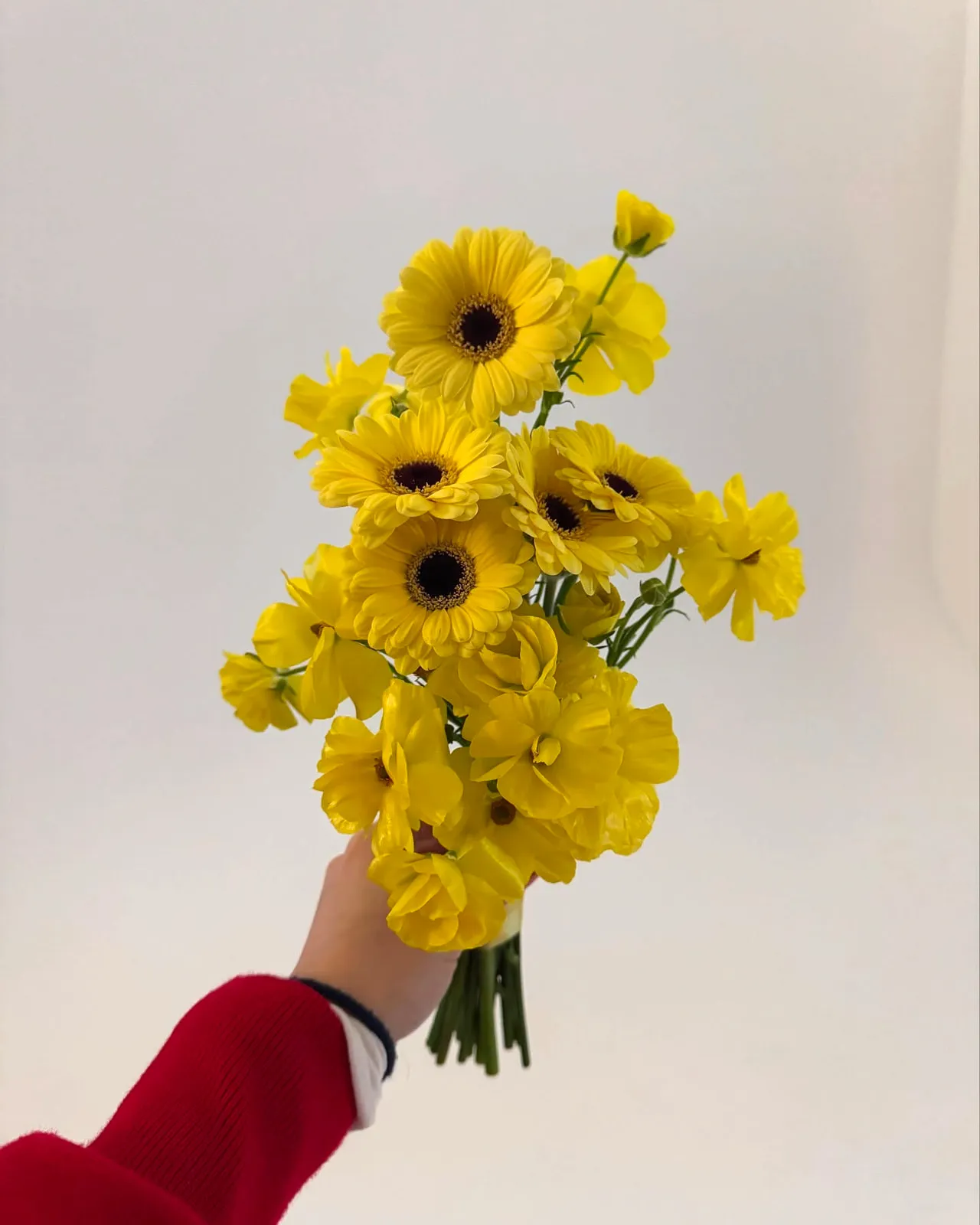 노오란 부케 2