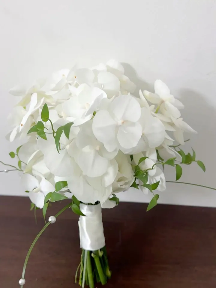 온리호접 3